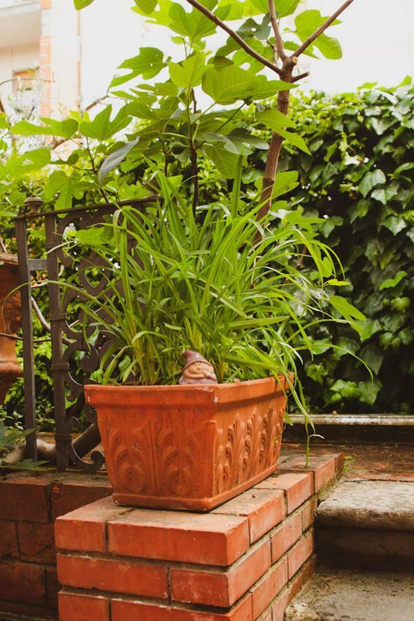 Il Villino Bed & Breakfast ลุคคา ภายนอก รูปภาพ